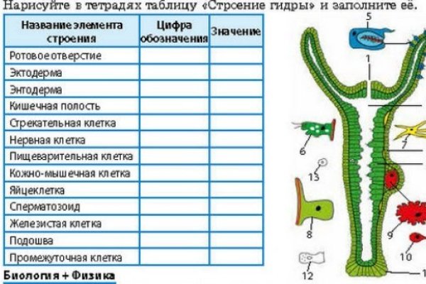 Кракен 2kr pro