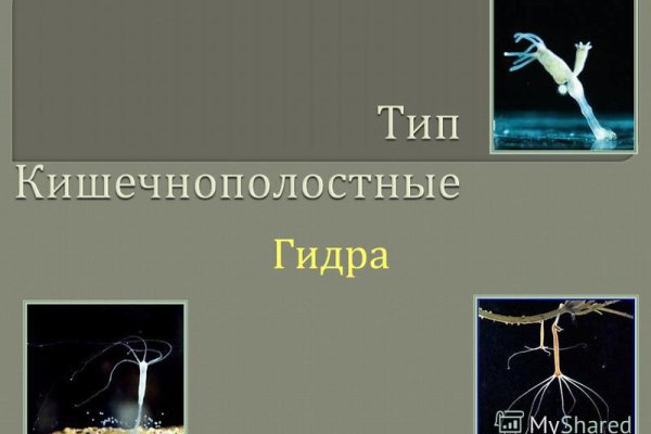 Как зайти в кракен с айфона