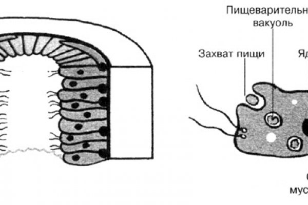 Сайт кракен тор браузера