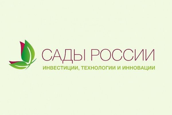 Кракен маркетплейс откуда взялся