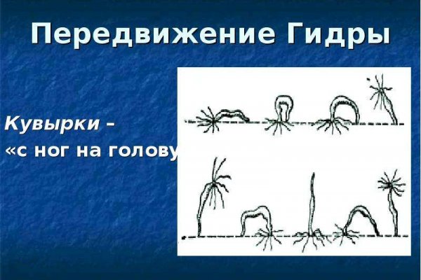 Сайты продаж наркотиков