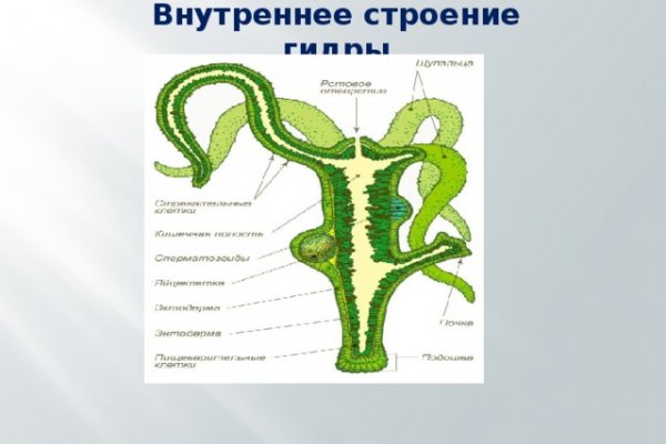 Ссылки в тор