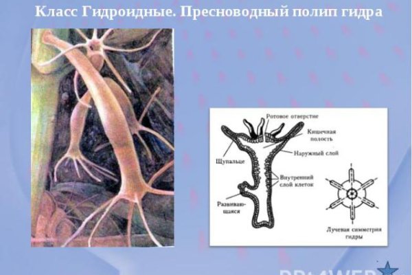 Кракен официальная ссылка