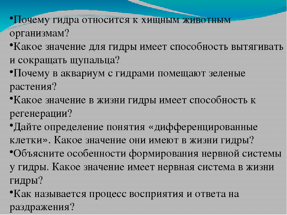 Кракен гидра
