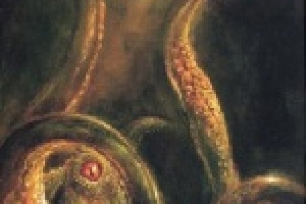 Не могу зайти в кракен