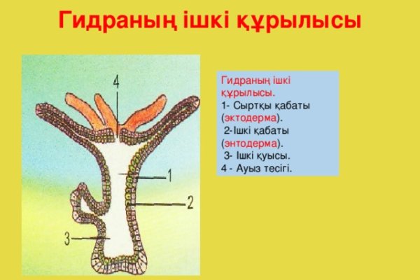 Где взять ссылку на кракен kraken014 com