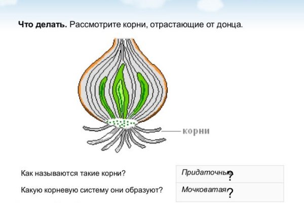 Кракен тор krakens13 at